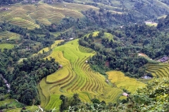 Vietnam Ha Giang Terraced Fields